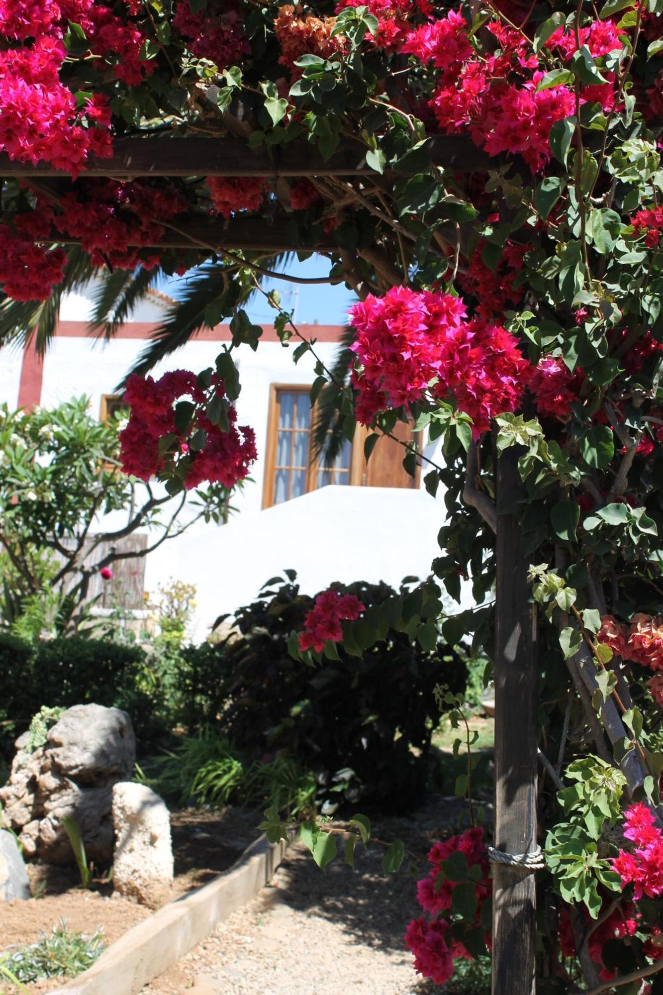 Casa Rural Anton Piche With Pool-Adults Only กรานาดิลญา เด อาโบนา ภายนอก รูปภาพ