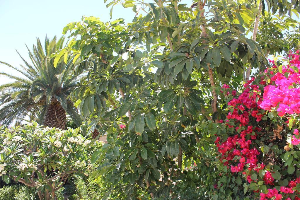 Casa Rural Anton Piche With Pool-Adults Only กรานาดิลญา เด อาโบนา ภายนอก รูปภาพ