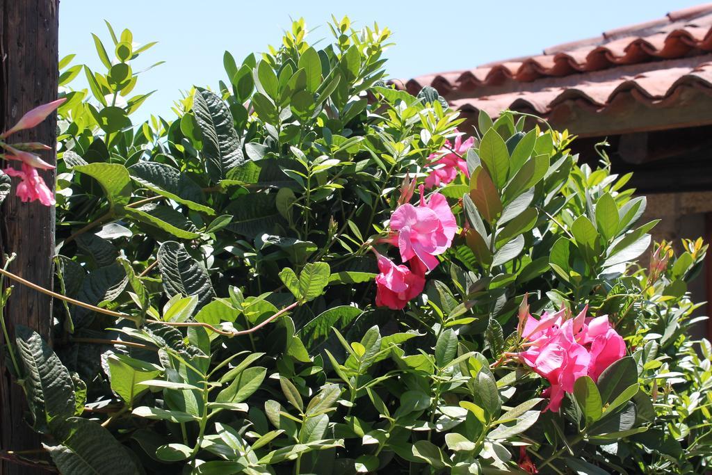Casa Rural Anton Piche With Pool-Adults Only กรานาดิลญา เด อาโบนา ภายนอก รูปภาพ