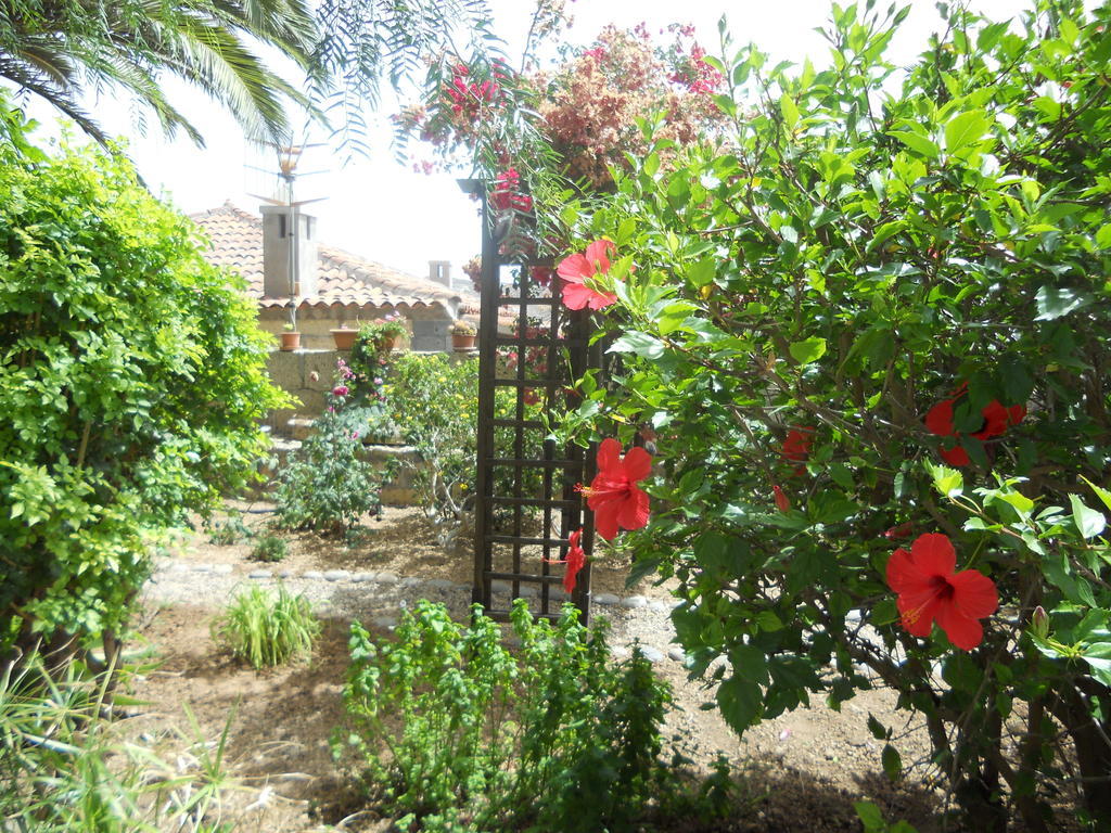 Casa Rural Anton Piche With Pool-Adults Only กรานาดิลญา เด อาโบนา ภายนอก รูปภาพ