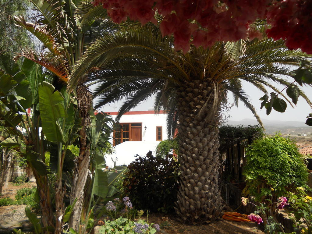 Casa Rural Anton Piche With Pool-Adults Only กรานาดิลญา เด อาโบนา ภายนอก รูปภาพ